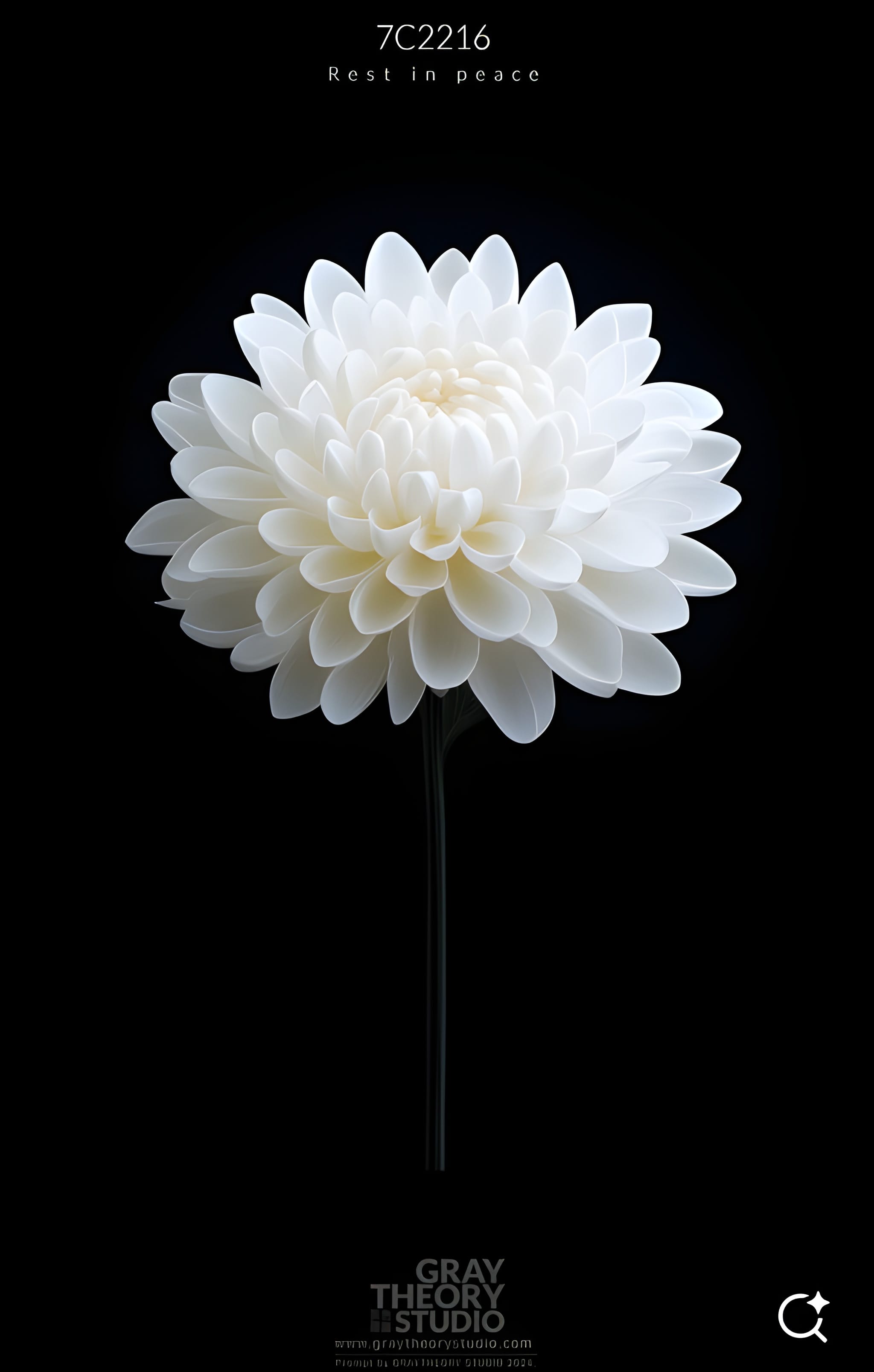 Minimal White Flower DTF Printed