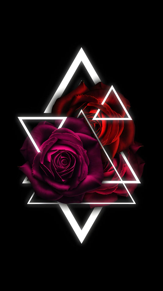 Midnight Rose